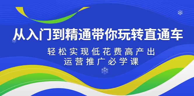 从入门到精通带你玩转直通车：轻松实现低花费高产出，35节运营推广必学课-小白项目网