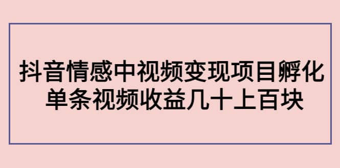 抖音情感中视频变现项目孵化-小白项目网