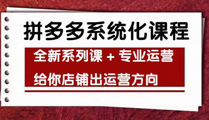 车神陪跑，拼多多系统化课程，全新系列课+专业运营给你店铺出运营方向-小白项目网