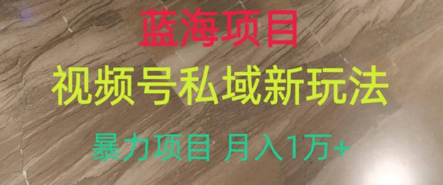 蓝海项目，视频号私域新玩法，暴力项目月入1万+【揭秘】-小白项目网