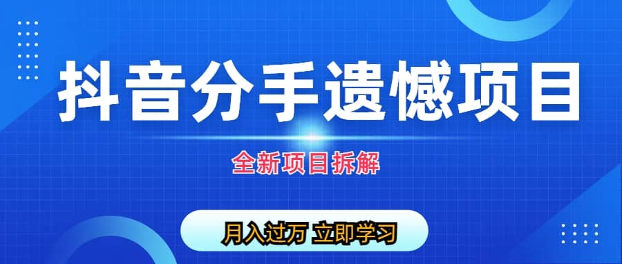 自媒体抖音分手遗憾项目私域项目拆解-小白项目网