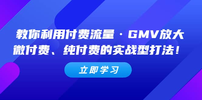 教你利用付费流量·GMV放大，微付费、纯付费的实战型打法-小白项目网