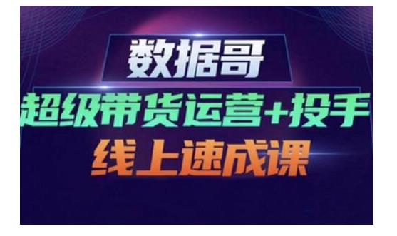 数据哥·超级带货运营+投手线上速成课，快速提升运营和熟悉学会投手技巧-小白项目网