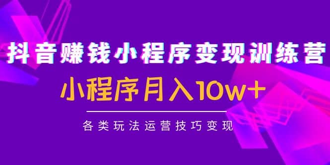 抖音小程序变现训练营：小程序各类玩法运营技巧变现-小白项目网