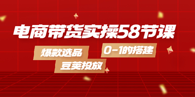 电商带货实操58节课，爆款选品，豆荚投放，0-1的搭建-小白项目网