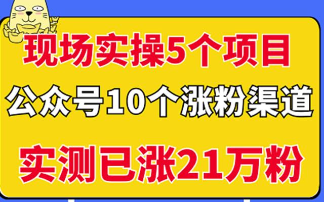 现场实操5个公众号项目，10个涨粉渠道，实测已涨21万粉！-小白项目网