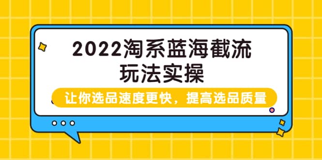 2022淘系蓝海截流玩法实操：让你选品速度更快，提高选品质量（价值599）-小白项目网