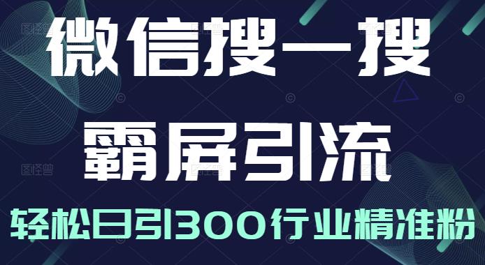 微信搜一搜霸屏引流课，打造被动精准引流系统，轻松日引300行业精准粉【无水印】-小白项目网