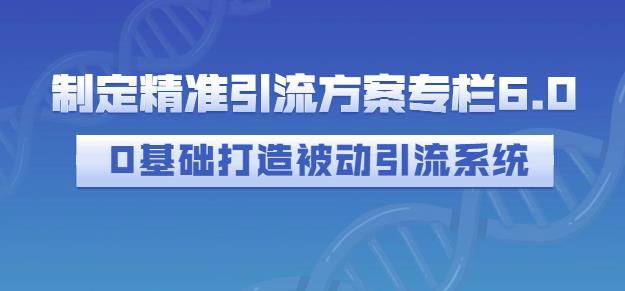 制定精准引流方案专栏6.0，0基础打造被动引流系统-小白项目网