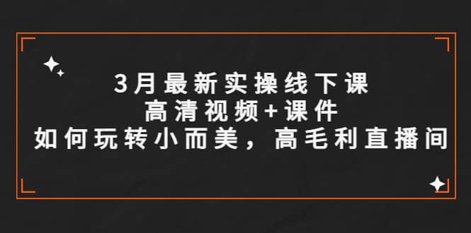 3月最新实操线下课高清视频+课件，如何玩转小而美，高毛利直播间-小白项目网