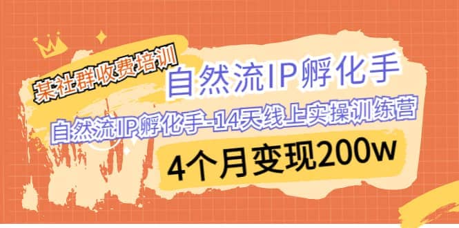 某社群收费培训：自然流IP 孵化手-14天线上实操训练营 4个月变现200w-小白项目网