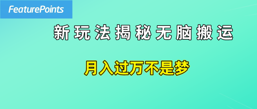 简单操作，每天50美元收入，搬运就是赚钱的秘诀！-小白项目网