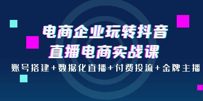 电商企业玩转抖音直播电商实战课：账号搭建+数据化直播+付费投流+金牌主播-小白项目网