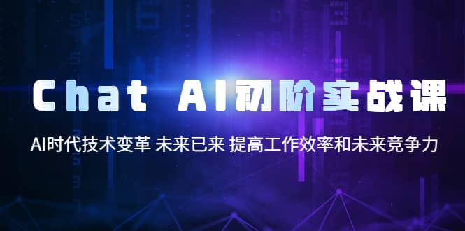 Chat AI初阶实战课，AI时代技术变革 未来已来 提高工作效率和未来竞争力-小白项目网