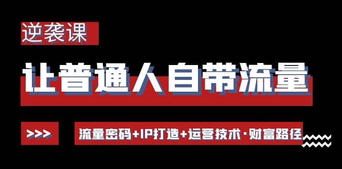 让普通人自带流量的逆袭课：流量密码+IP打造+运营技术·财富路径-小白项目网