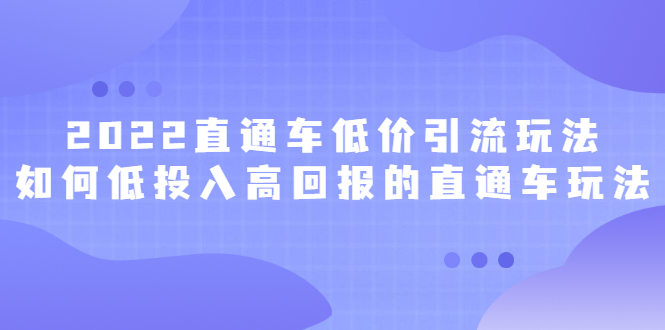 2022直通车低价引流玩法，教大家如何低投入高回报的直通车玩法-小白项目网