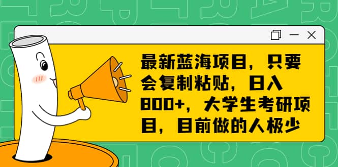 最新蓝海项目，只要会复制粘贴，日入800+，大学生考研项目，目前做的人极少-小白项目网