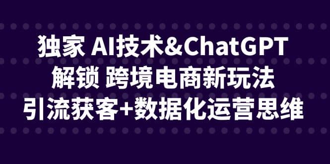 独家 AI技术ChatGPT解锁 跨境电商新玩法，引流获客+数据化运营思维-小白项目网