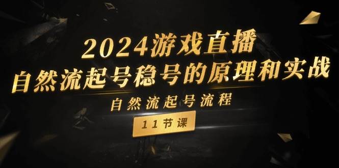 2024游戏直播-自然流起号稳号的原理和实战，自然流起号流程（11节）-小白项目网