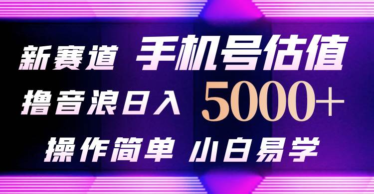 抖音不出境直播【手机号估值】最新撸音浪，日入5000+，简单易学，适合…-小白项目网