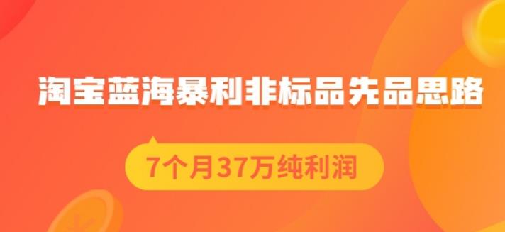 盗坤淘宝蓝海暴利非标品先品思路，7个月37万纯利润，压箱干货分享！【付费文章】-小白项目网