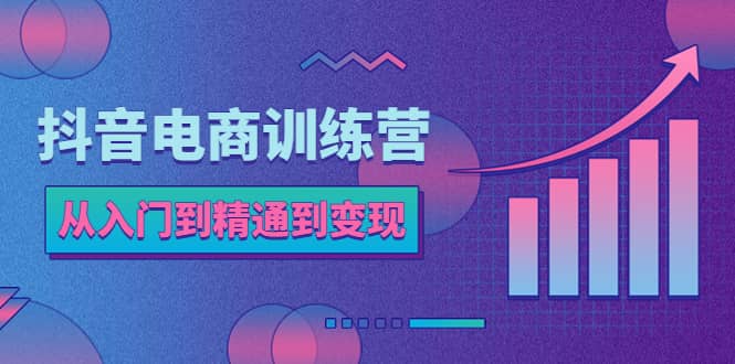 抖音电商训练营：从入门到精通，从账号定位到流量变现，抖店运营实操-小白项目网