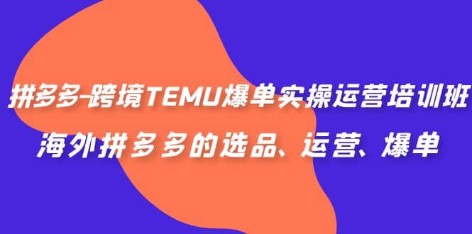 拼多多-跨境TEMU爆单实操运营培训班，海外拼多多的选品、运营、爆单-小白项目网