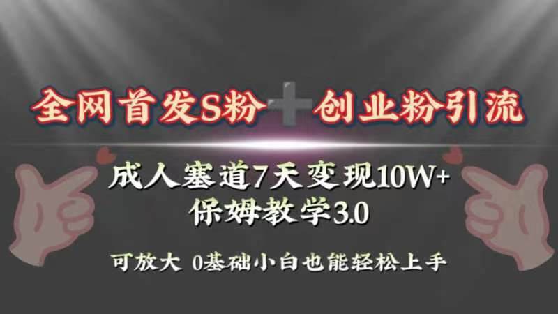 全网首发s粉加创业粉引流变现，成人用品赛道7天变现10w+保姆教学3.0-小白项目网