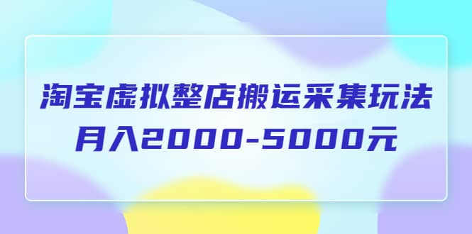 淘宝虚拟整店搬运采集玩法分享课：月入2000-5000元（5节课）-小白项目网