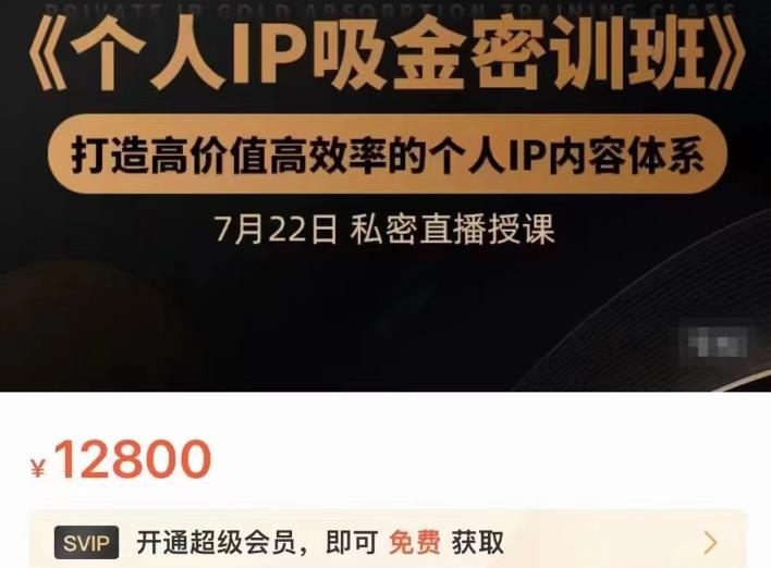 个人IP吸金密训班，打造高价值高效率的个人IP内容体系（价值12800元）-小白项目网