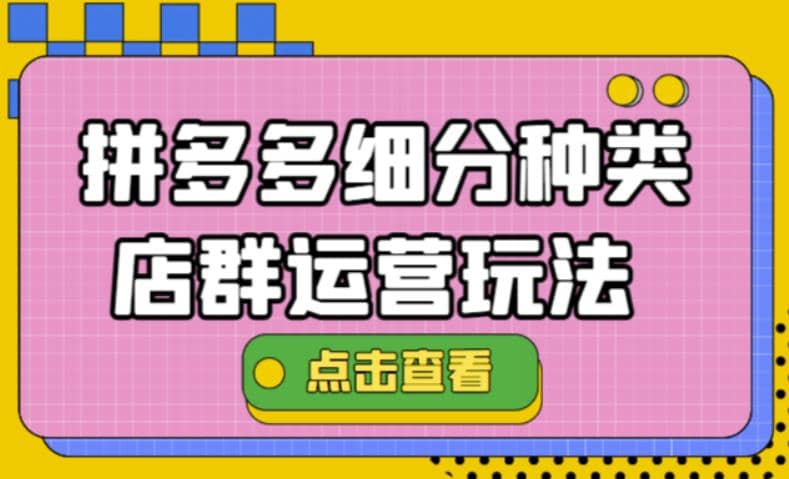 拼多多细分种类店群运营玩法3.0，11月最新玩法，小白也可以操作-小白项目网