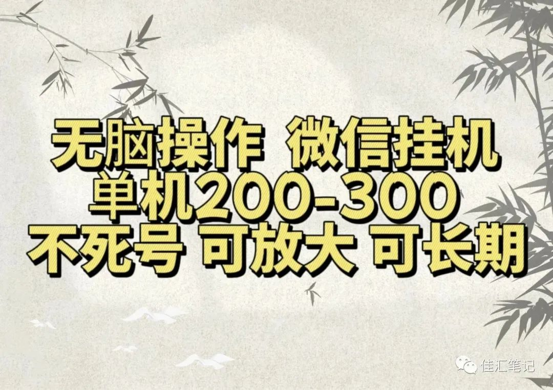 无脑操作微信视频号挂机单机200-300一天，不死号，可放大，工作室实测-小白项目网