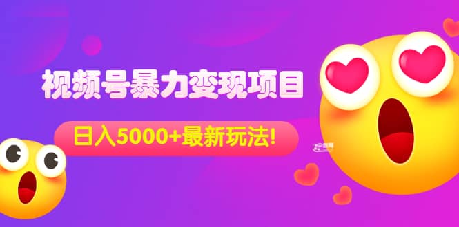 外面收费699的视频号暴力变现项目，日入5000+，简单易操作当天见效果-小白项目网