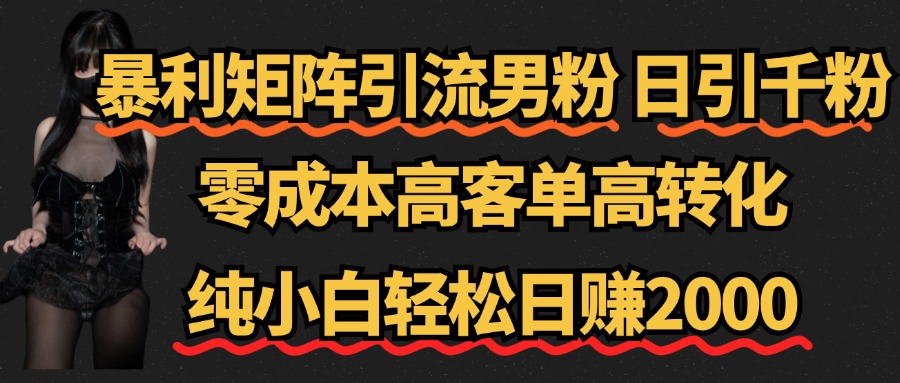 暴利矩阵引流男粉（日引千粉），零成本高客单高转化，纯小白轻松日赚2000+ - 小白项目网-小白项目网