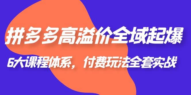 拼多多-高溢价 全域 起爆，6大课程体系，付费玩法全套实战-小白项目网