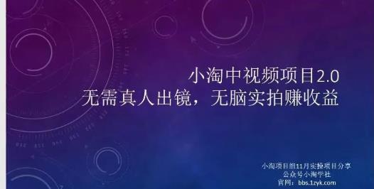 小淘项目组网赚永久会员，绝对是具有实操价值的，适合有项目做需要流程【持续更新】-小白项目网