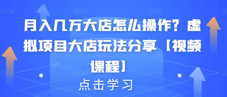 月入几万大店怎么操作？虚拟项目大店玩法分享【视频课程】-小白项目网