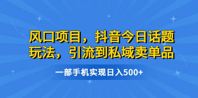 风口项目，抖音今日话题玩法，引流到私域卖单品，一部手机实现日入500+-小白项目网