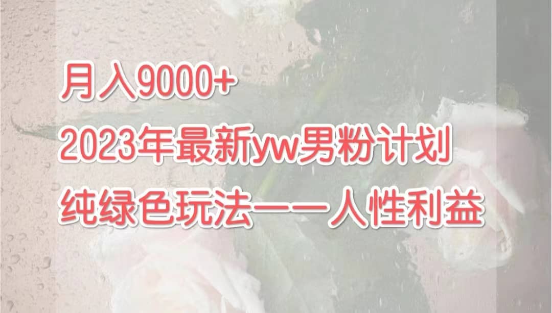 月入9000+2023年9月最新yw男粉计划绿色玩法——人性之利益-小白项目网