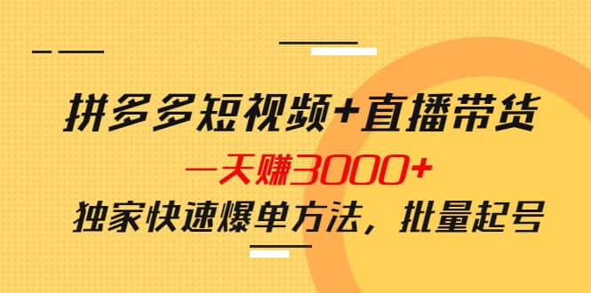 拼多多短视频+直播带货，一天赚3000+独家快速爆单方法，批量起号-小白项目网