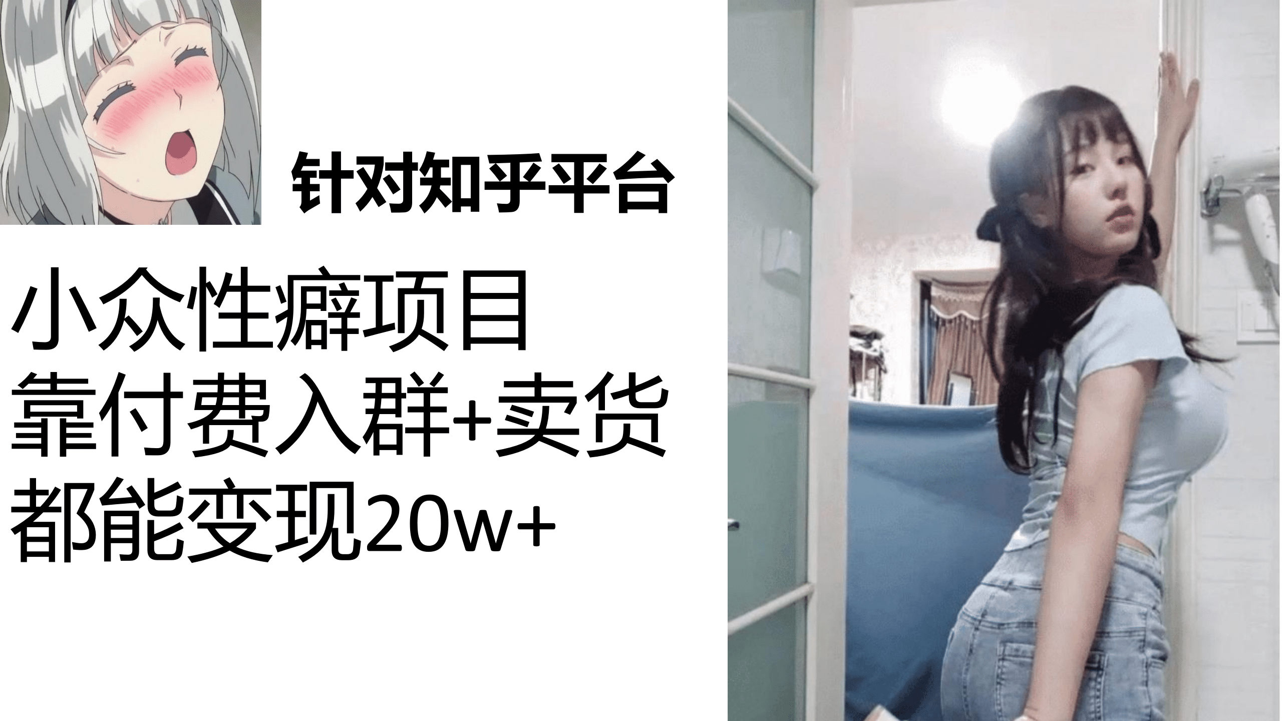 知乎小众性癖项目，Lsp的钱才是最好赚的，付费建群+卖货变现20w-小白项目网