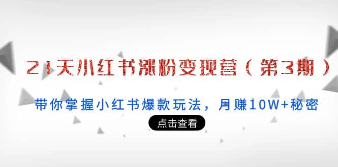 21天小红书涨粉变现营（第3期）：带你掌握小红书爆款玩法，月赚10W+秘密-小白项目网