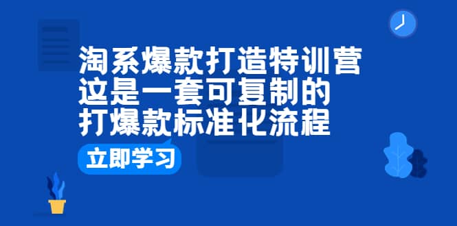 淘系爆款打造特训营：这是一套可复制的打爆款标准化流程-小白项目网