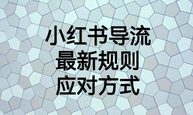 小红书导流最新规则应对方式【揭秘】-小白项目网