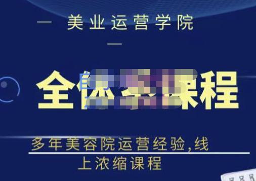 网红美容院全套营销落地课程，多年美容院运营经验，线上浓缩课程-小白项目网