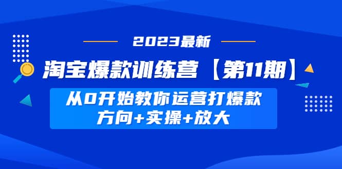 淘宝爆款训练营【第11期】 从0开始教你运营打爆款，方向+实操+放大-小白项目网