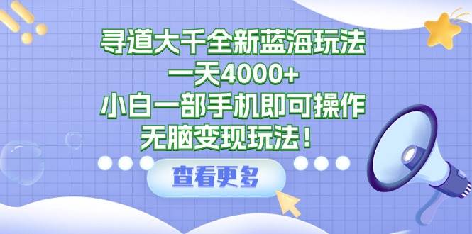 寻道大千全新蓝海玩法，一天4000+，小白一部手机即可操作，无脑变现玩法！-小白项目网