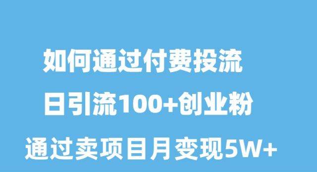 如何通过付费投流日引流100+创业粉月变现5W+-小白项目网