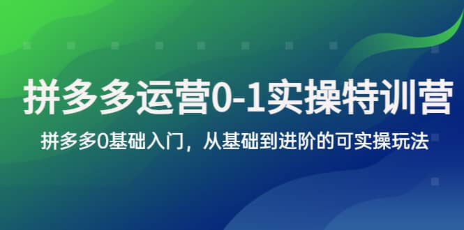 拼多多-运营0-1实操训练营，拼多多0基础入门，从基础到进阶的可实操玩法-小白项目网