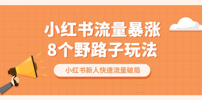 小红书流量-暴涨8个野路子玩法：小红书新人快速流量破局（8节课）-小白项目网